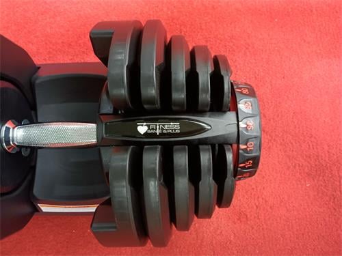Dumbbell ajustable (10 à 90 lb)