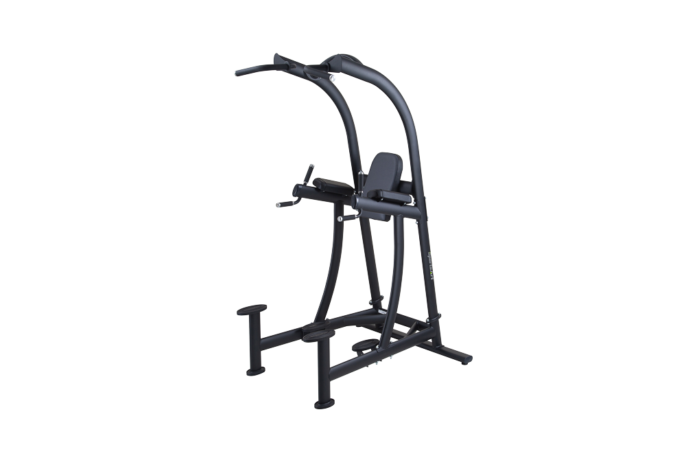 SportsArt A994 VKR Chin Dip Station