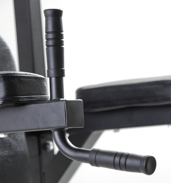 Vertical Knee Raise FIT505
